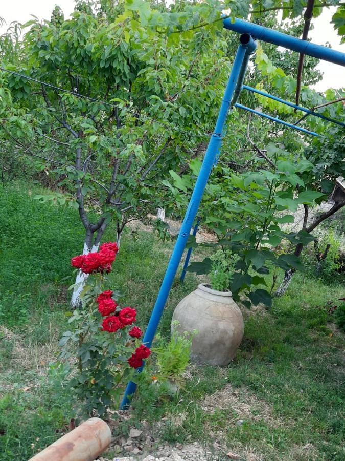 Ararat B&B Csiva Kültér fotó