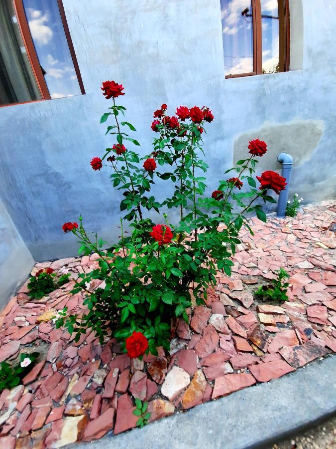 Ararat B&B Csiva Kültér fotó