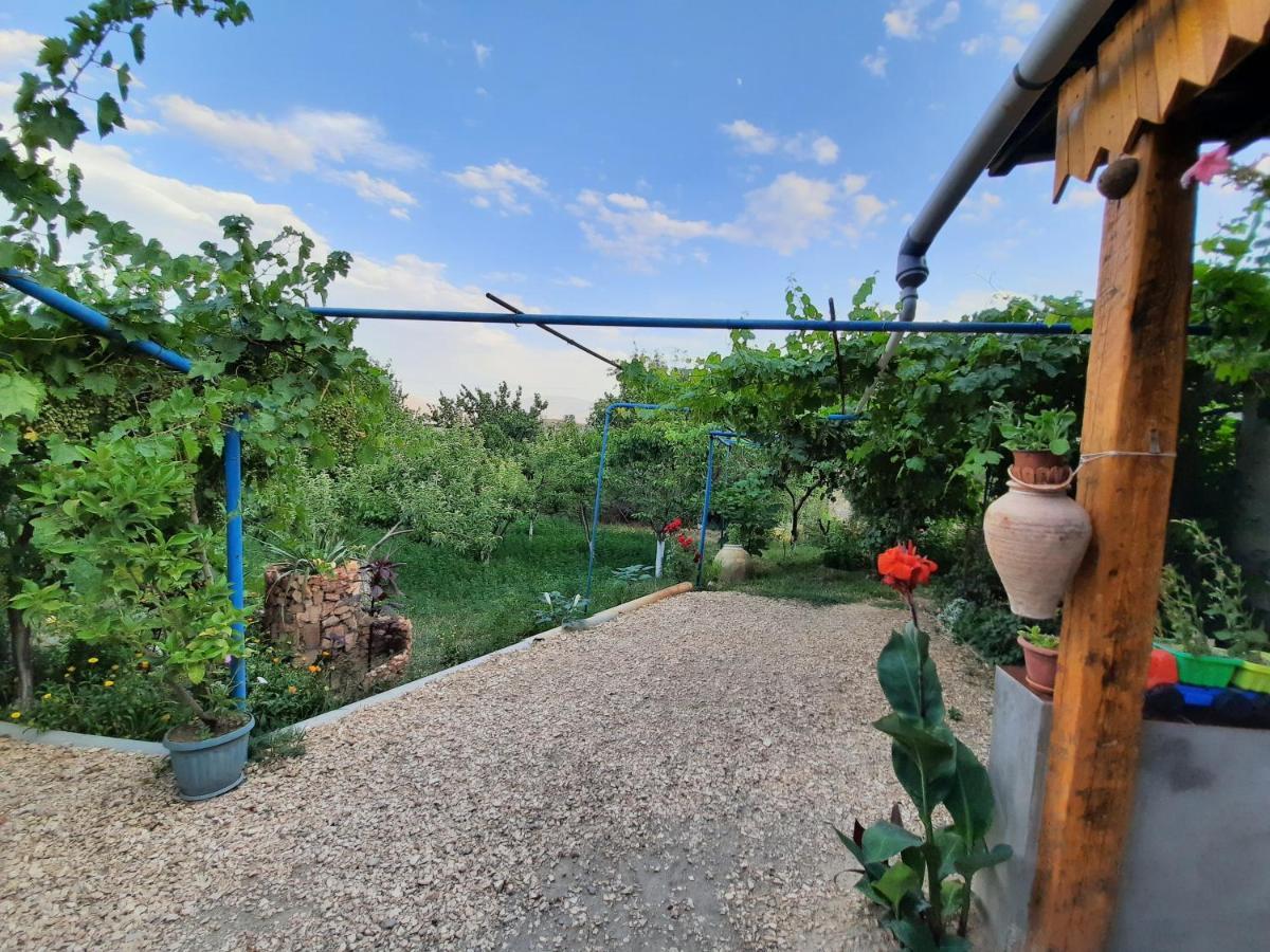 Ararat B&B Csiva Kültér fotó